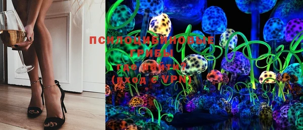 твердый Белокуриха