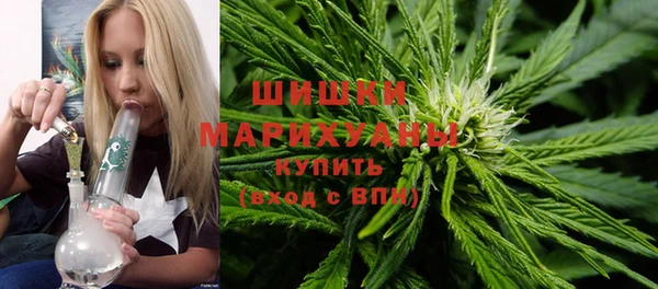 стафф Богородицк
