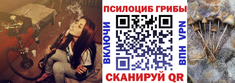 Псилоцибиновые грибы MAGIC MUSHROOMS  Мончегорск 